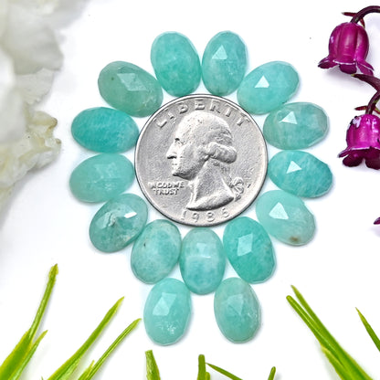 45.45cts Amazonite Rosecut Cabochon 8X12mm Oval Shape AA Grade Gemstone Parcel -Total 15 Pcs