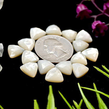 42.45cts Mother of Pearl Rose Cut Cabochons 10x10mm Calibrated Trillion Shape AA Grade Gemstone Parcel -Total 15 Pcs