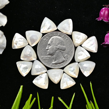 42.45cts Mother of Pearl Rose Cut Cabochons 10x10mm Calibrated Trillion Shape AA Grade Gemstone Parcel -Total 15 Pcs