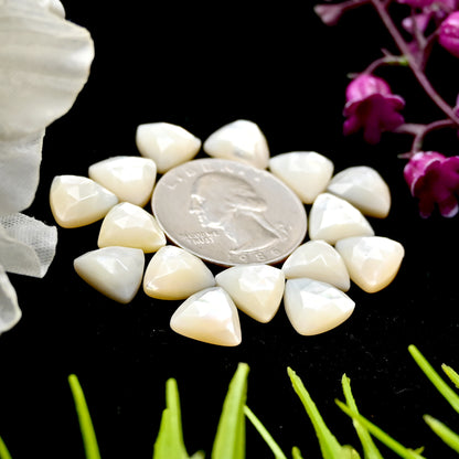 43.95cts Mother of Pearl Rose Cut Cabochons 10x10mm Calibrated Trillion Shape AA Grade Gemstone Parcel -Total 15 Pcs