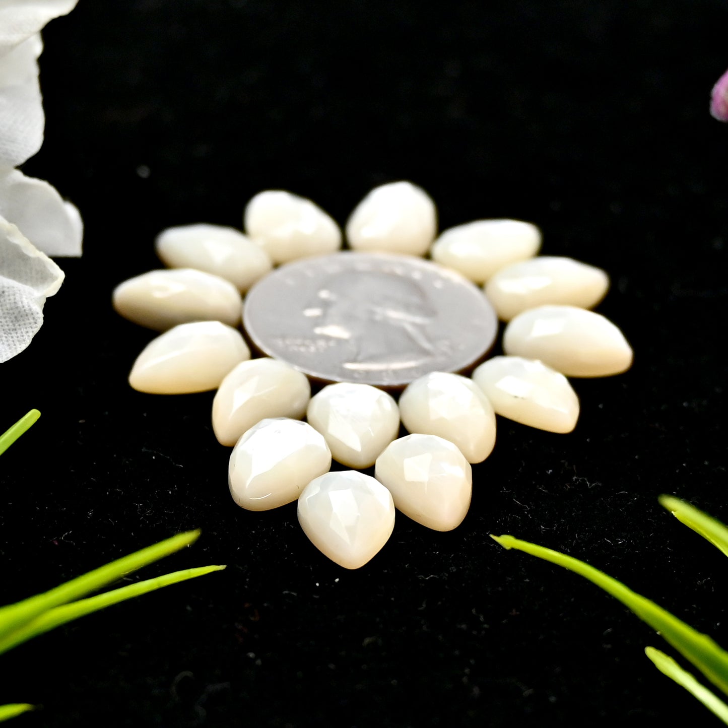 43.8cts Mother of Pearl Rose Cut Cabochons 8x12mm Calibrated Tear Drop Shape AA Grade Gemstone Parcel -Total 15 Pcs