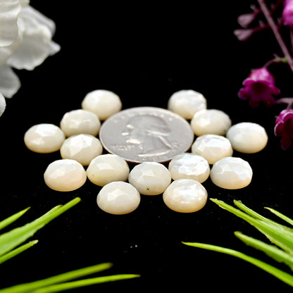 52.95cts Mother of Pearl Rose Cut Cabochons 10mm Calibrated Round Shape AA Grade Gemstone Parcel -Total 15 Pcs