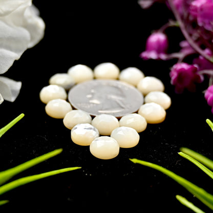 32.9cts Mother of Pearl Rose Cut Cabochons 8mm Calibrated Round Shape AA Grade Gemstone Parcel -Total 15 Pcs