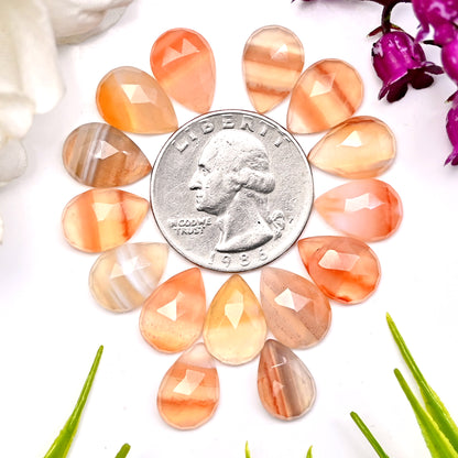 54.3cts Natural Botswana Agate 9x13mm Rose Cut Cabochon Tear Drop Shape AA Grade Gemstone Parcel -Total 15 Pcs