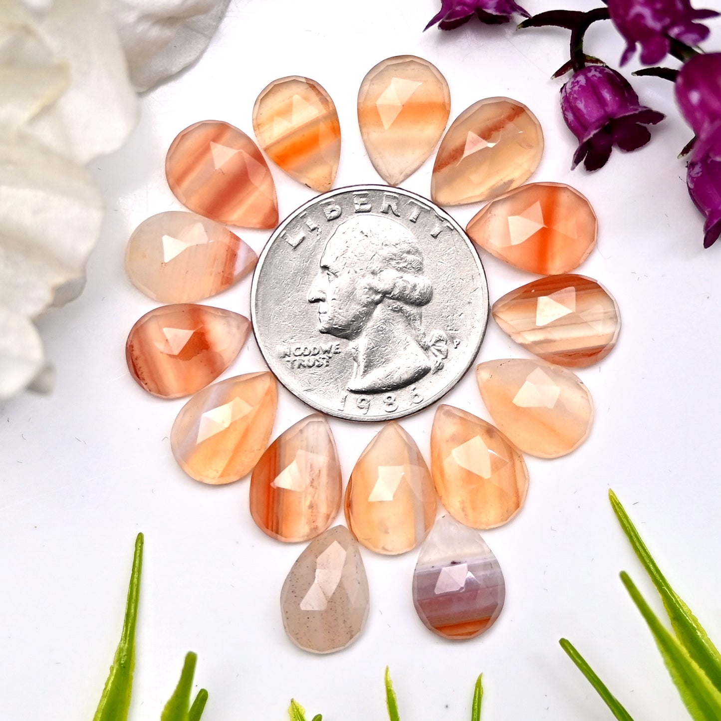 52.5cts Natural Botswana Agate 9x13mm Rose Cut Cabochon Tear Drop Shape AA Grade Gemstone Parcel -Total 15 Pcs