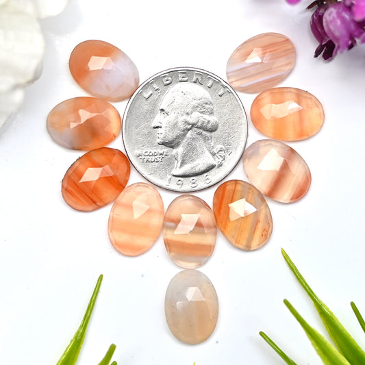 46.15cts Natural Botswana Agate 10x14mm Rose Cut Cabochon Oval Shape AA Grade Gemstone Parcel -Total 10 Pcs