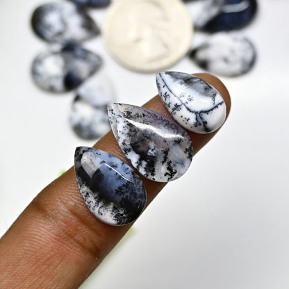 74,95 ct Dendritischer Achat 11 x 18 mm 13 x 22 mm Glatter Cabochon Birnenform AA-Qualität Edelsteinpaket - Insgesamt 10 Stück 