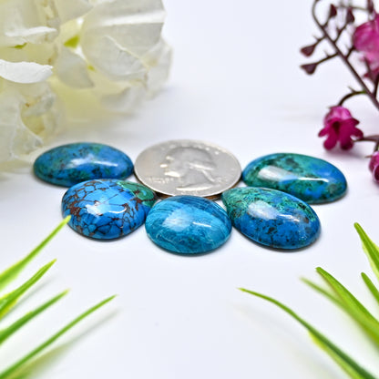 75cts Azurite Smooth Cabochon 15x20mm - 17x24mm Mix Shape AA Grade Gemstone Parcel -Total 5 Pcs