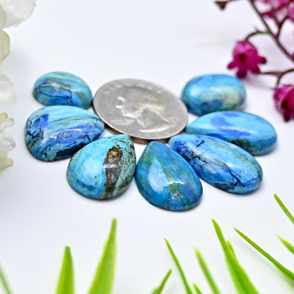 60.7cts Peruvian Blue Opal Smooth Cabochon 14x25mm - 12x15mm Mix Shape AA Grade Gemstone Parcel -Total 7 Pcs