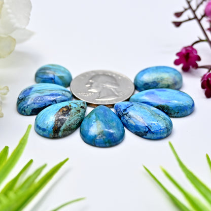 60.7cts Peruvian Blue Opal Smooth Cabochon 14x25mm - 12x15mm Mix Shape AA Grade Gemstone Parcel -Total 7 Pcs