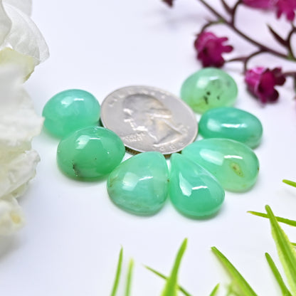 71.85cts Natural Australian Chrysoprase Smooth Cabochon 11x14mm - 13x19mm Mix  Shape AA Grade Gemstone Parcel -Total 7 Pcs