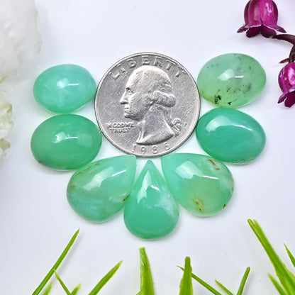 71,85 ct natürlicher australischer Chrysopras, glatter Cabochon, 11 x 14 mm – 13 x 19 mm, gemischte Form, Edelstein der Güteklasse AA, Paket, insgesamt 7 Stück