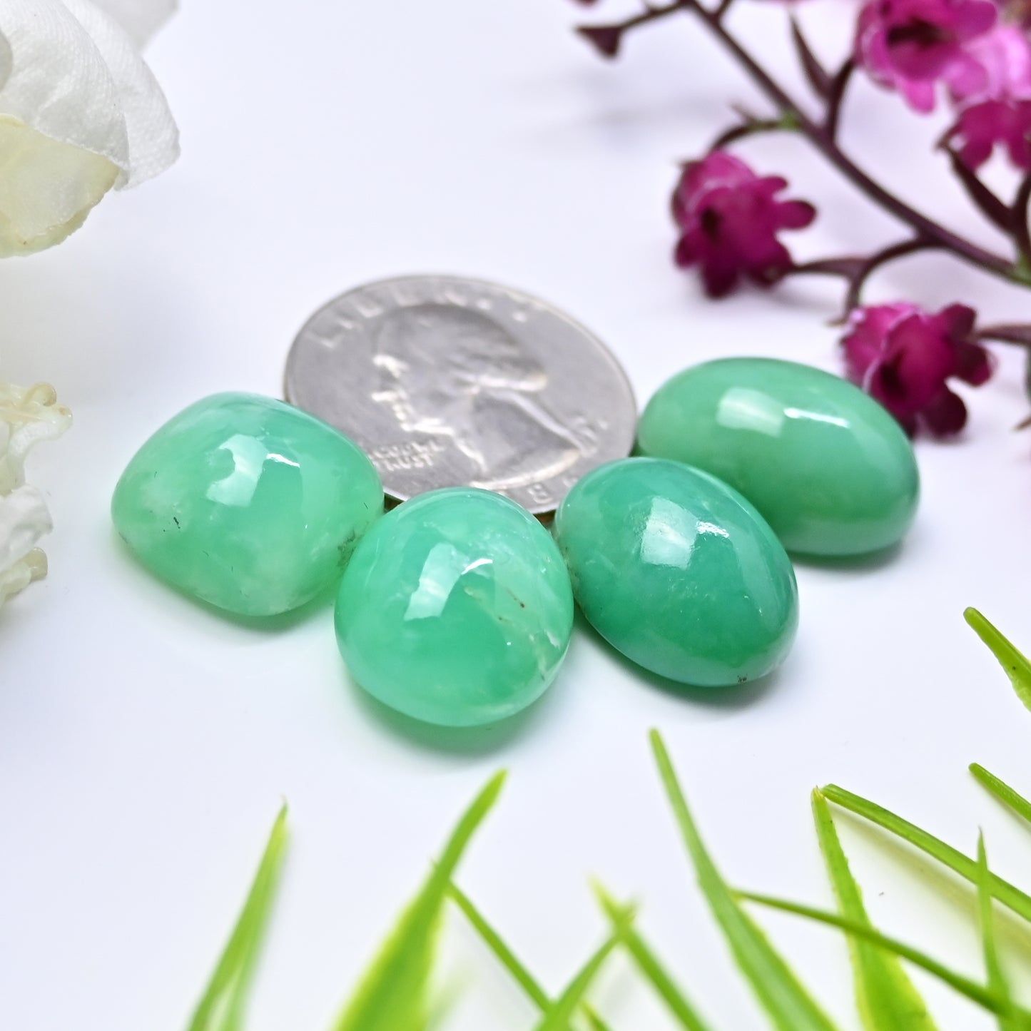 67.55cts Natural Australian Chrysoprase Smooth Cabochon 14x18mm - 15x15mm Mix Shape AA Grade Gemstone Parcel -Total 4 Pcs