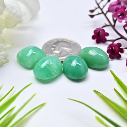 67.55cts Natural Australian Chrysoprase Smooth Cabochon 14x18mm - 15x15mm Mix Shape AA Grade Gemstone Parcel -Total 4 Pcs