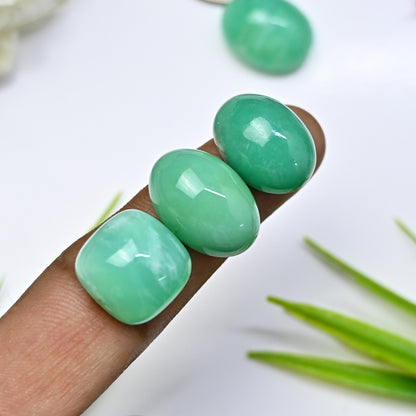 67.55cts Natural Australian Chrysoprase Smooth Cabochon 14x18mm - 15x15mm Mix Shape AA Grade Gemstone Parcel -Total 4 Pcs