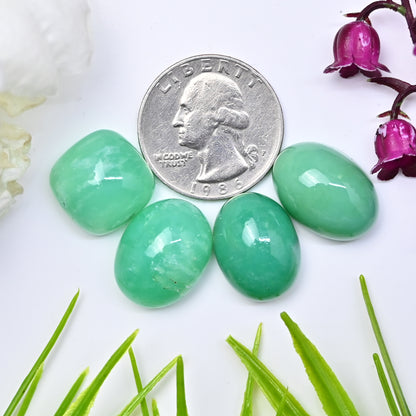 67.55cts Natural Australian Chrysoprase Smooth Cabochon 14x18mm - 15x15mm Mix Shape AA Grade Gemstone Parcel -Total 4 Pcs