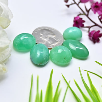 75.85cts Natural Australian Chrysoprase Smooth Cabochon 12x16mm - 14x21mm Mix Shape AA Grade Gemstone Parcel -Total 5Pcs