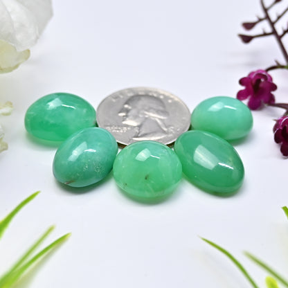 75.85cts Natural Australian Chrysoprase Smooth Cabochon 12x16mm - 14x21mm Mix Shape AA Grade Gemstone Parcel -Total 5Pcs