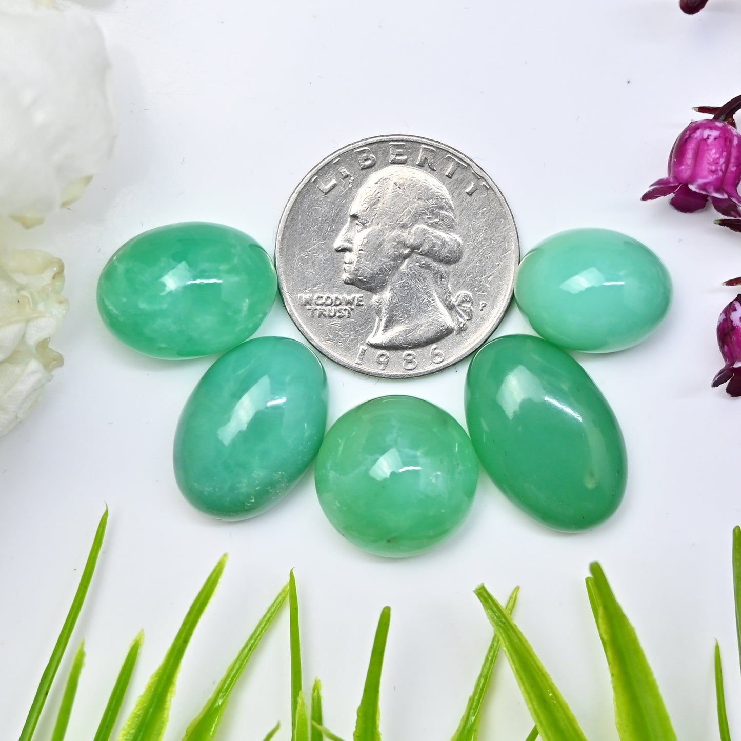 75,85 ct natürlicher australischer Chrysopras, glatter Cabochon, 12 x 16 mm – 14 x 21 mm, gemischte Form, Edelstein der Güteklasse AA, Paket, insgesamt 5 Stück