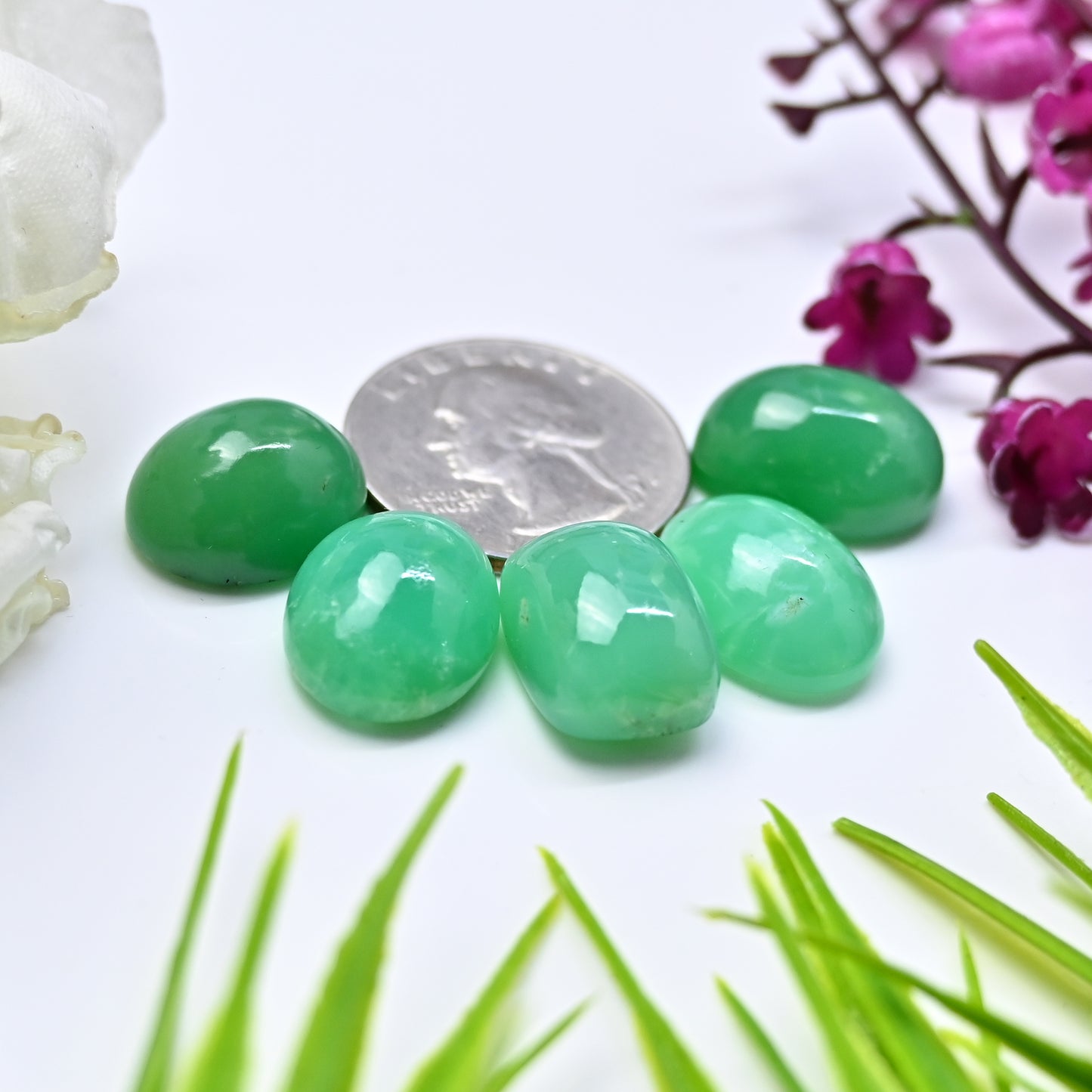 69.8cts Natural Australian Chrysoprase Smooth Cabochon 13x16mm - 14x17mm Mix Shape AA Grade Gemstone Parcel -Total 5 Pcs