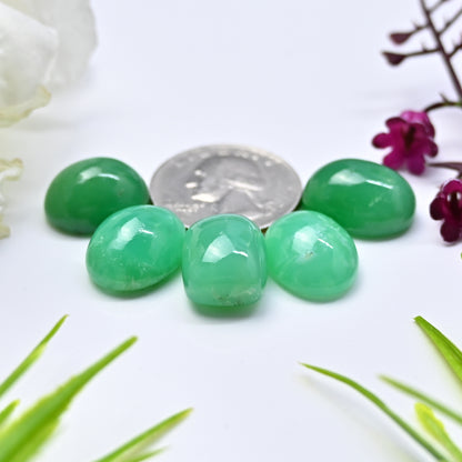 69.8cts Natural Australian Chrysoprase Smooth Cabochon 13x16mm - 14x17mm Mix Shape AA Grade Gemstone Parcel -Total 5 Pcs