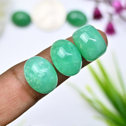 69.8cts Natural Australian Chrysoprase Smooth Cabochon 13x16mm - 14x17mm Mix Shape AA Grade Gemstone Parcel -Total 5 Pcs