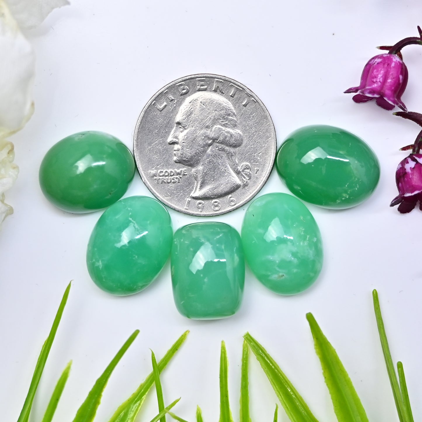 69,8 ct natürlicher australischer Chrysopras, glatter Cabochon, 13 x 16 mm – 14 x 17 mm, gemischte Form, Edelstein der Güteklasse AA, Paket, insgesamt 5 Stück