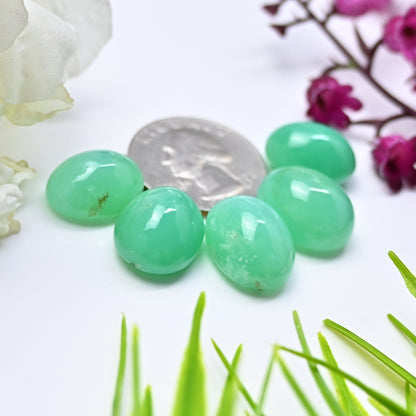 72.45cts Natural Australian Chrysoprase Smooth Cabochon 12x16mm - 13x17mm Oval Shape AA Grade Gemstone Parcel -Total 5Pcs