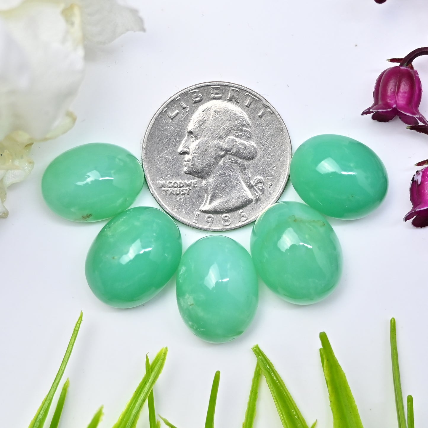 72,45 ct natürlicher australischer Chrysopras, glatter Cabochon, 12 x 16 mm – 13 x 17 mm, ovale Form, Edelstein der Güteklasse AA, Paket – insgesamt 5 Stück