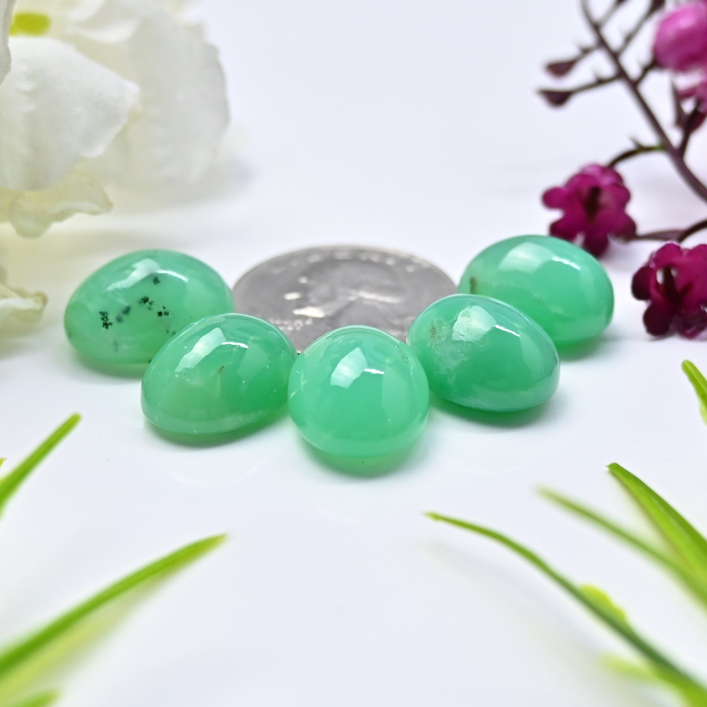 73.3cts Natural Australian Chrysoprase Smooth Cabochon 13x18mm - 13x17mm  Oval Shape AA Grade Gemstone Parcel -Total 5 Pcs