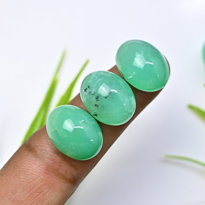 73.3cts Natural Australian Chrysoprase Smooth Cabochon 13x18mm - 13x17mm  Oval Shape AA Grade Gemstone Parcel -Total 5 Pcs