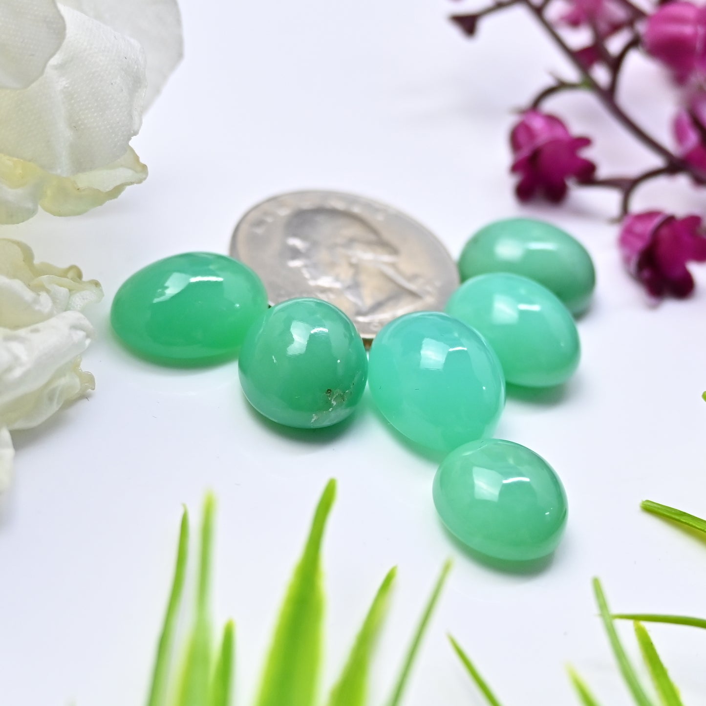 65.05cts Natural Australian Chrysoprase Smooth Cabochon 13x16mm - 12x15mm Mix Shape AA Grade Gemstone Parcel -Total 6 Pcs