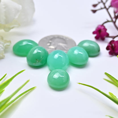 65.05cts Natural Australian Chrysoprase Smooth Cabochon 13x16mm - 12x15mm Mix Shape AA Grade Gemstone Parcel -Total 6 Pcs