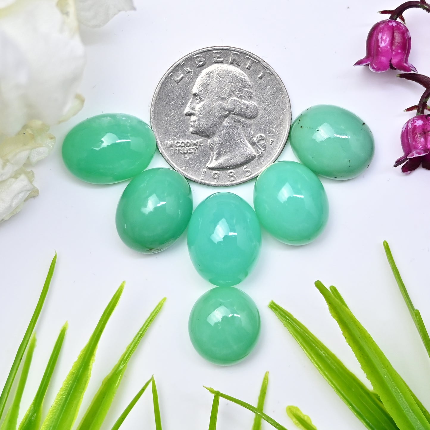 65.05cts Natural Australian Chrysoprase Smooth Cabochon 13x16mm - 12x15mm Mix Shape AA Grade Gemstone Parcel -Total 6 Pcs