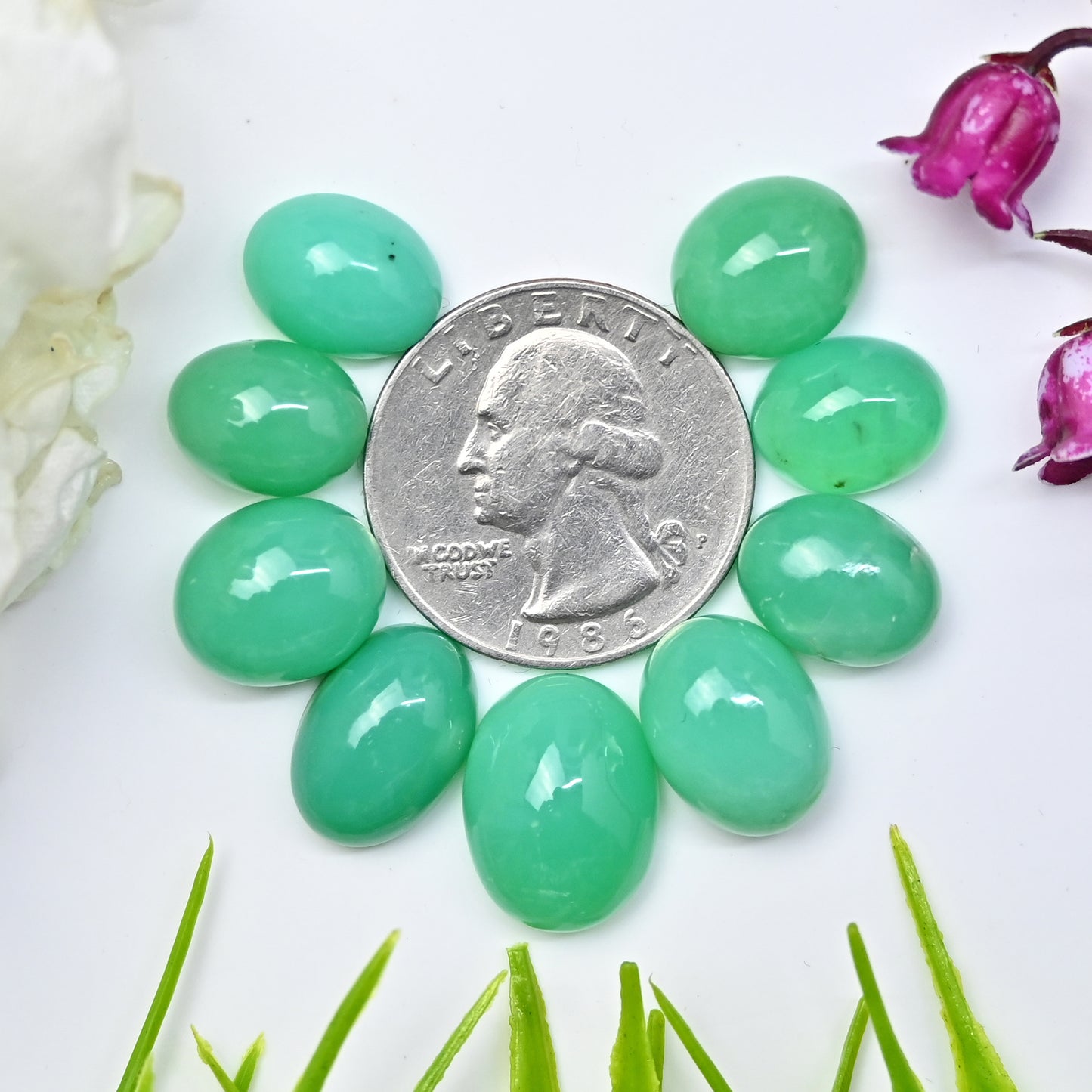 60.7cts Natural Australian Chrysoprase Smooth Cabochon 12x16mm - 10x12mm Oval Shape AA Grade Gemstone Parcel -Total 9 Pcs