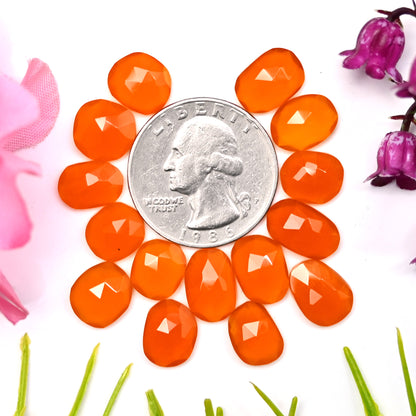 35cts Natural Carnelian 7x10mm - 8x11mm Freeform Rose Cut Cabochon AA Grade Gemstone Parcel -Total 15 Pcs