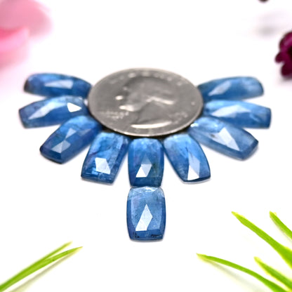 38,05 ct. Aquamarin-Kyanit, 7 x 14 mm, Rosenschliff, Baguetteform, Edelsteinklasse AA, Paket – insgesamt 10 Stück