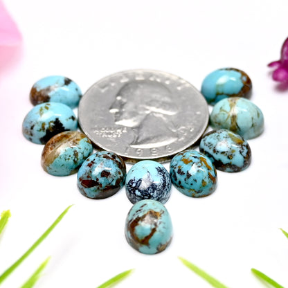 23.7cts Kingman Turquoise Smooth Cabochons Oval shape 8x10mm AA Grade Loose Gemstone - Total 10 pcs