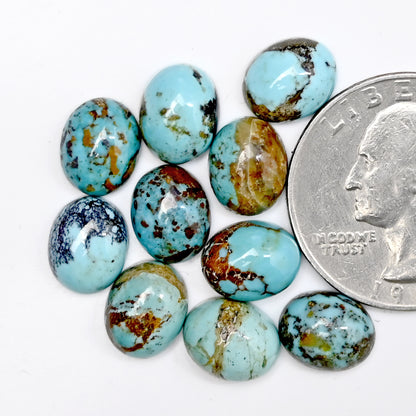 23.7cts Kingman Turquoise Smooth Cabochons Oval shape 8x10mm AA Grade Loose Gemstone - Total 10 pcs