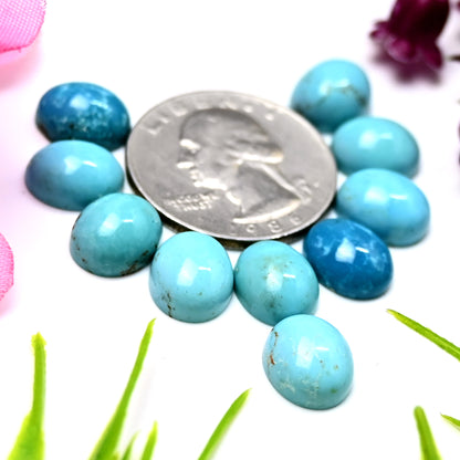 30cts Kingman Turquoise Smooth Cabochons Oval shape 9x11mm AA Grade Loose Gemstone - Total 10 pcs