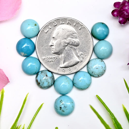 15.7cts Kingman Turquoise Smooth Cabochons Round shape 8mm AA Grade Loose Gemstone - Total 10 pcs