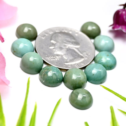 20.8cts Kingman Turquoise Smooth Cabochons Round shape 9mm AA Grade Loose Gemstone - Total 10 pcs