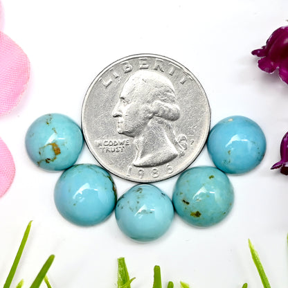 23.5cts Kingman Turquoise Smooth Cabochons Round shape 12mm AA Grade Loose Gemstone - Total 10 pcs