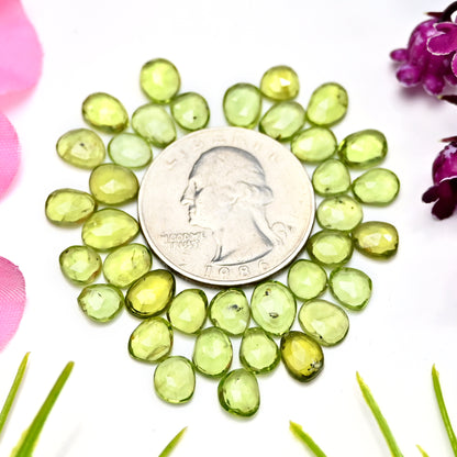 31.3cts Peridot Rosecut Cabochon 5x7mm - 6x8mm Free Form Shape AA Grade Gemstone Parcel - Total 36 Pcs