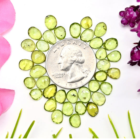 31.3cts Peridot Rosecut Cabochon 5x7mm - 6x8mm Free Form Shape AA Grade Gemstone Parcel - Total 36 Pcs