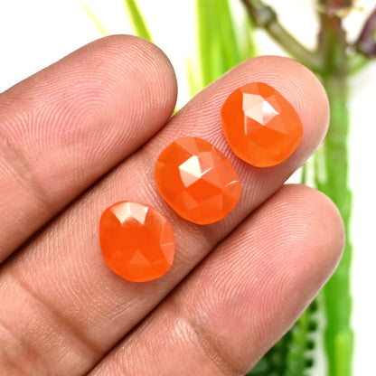 38.70cts Natural Carnelian 9x10mm - 10x11mm Freeform Rose Cut Cabochon AA Grade Gemstone Parcel -Total 15 Pcs