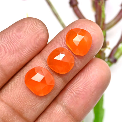 38.20cts Natural Carnelian 10x10mm - 9x11mm Freeform Rose Cut Cabochon AA Grade Gemstone Parcel -Total 15 Pcs