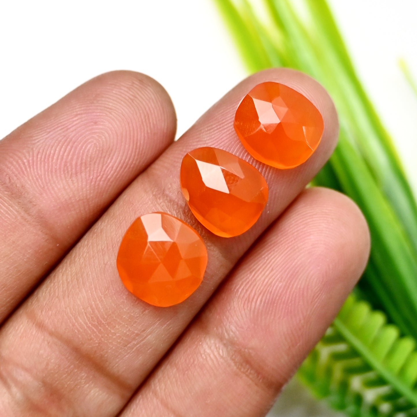 45.30cts Natural Carnelian 9x11mm - 10x12mm Freeform Rose Cut Cabochon AA Grade Gemstone Parcel -Total 15 Pcs