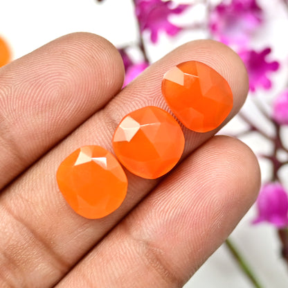 48.40cts Natural Carnelian 10x12mm - 11x11mm Freeform Rose Cut Cabochon AA Grade Gemstone Parcel -Total 15 Pcs