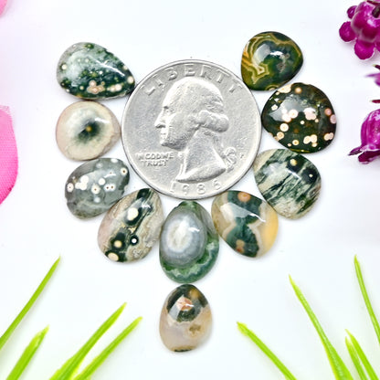 31.9 carats Ocean Jasper  Mix Shape Cabochon 9x12mm - 10x14mm  AA Grade Gemstone Parcel - Total 10 Pcs